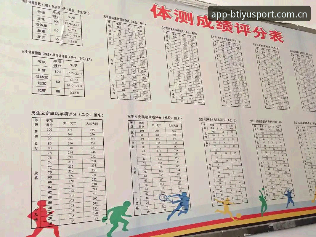 b体育平台专享服务深度评测：从安装到投注的全面体验分析